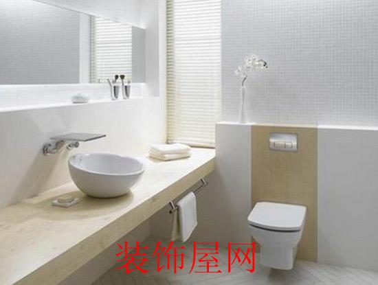 冲水式免治马桶