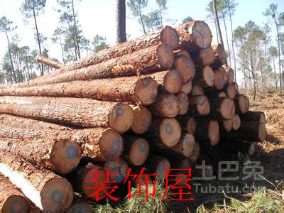 欧盟期待批准为期十年的木材暂停出口法案