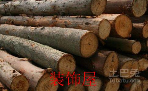 中国意外大量购买木材 数种越南木材的价格飙升